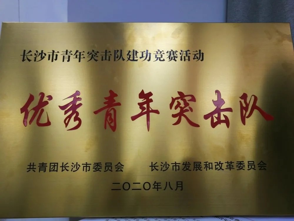 2020年8月，，，，，，智谷集团获得长沙市优异青年突击队称呼