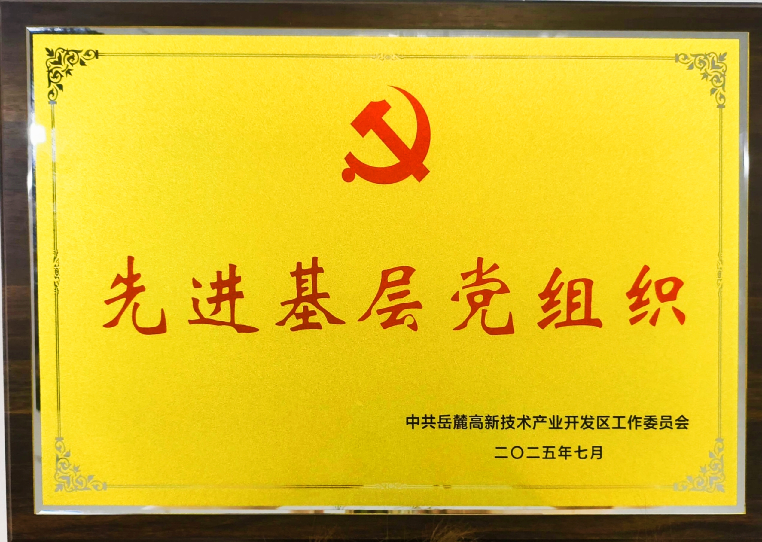 2025年7月，，，，，，智谷集团党委获岳麓高新区党工委“先进下层党组织”称呼。。。。。。。
